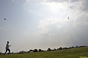 Parco San Giuliano  - 475